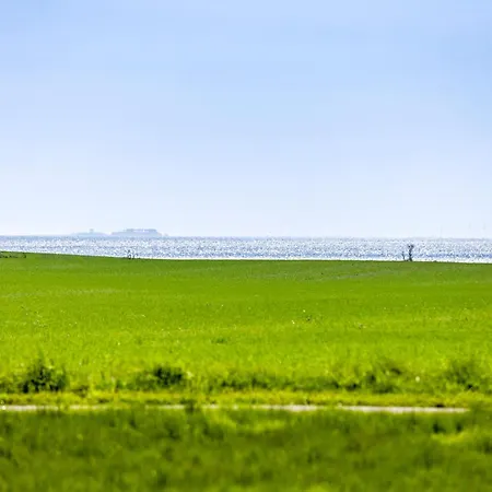 6 Bedroom Gorgeous In *